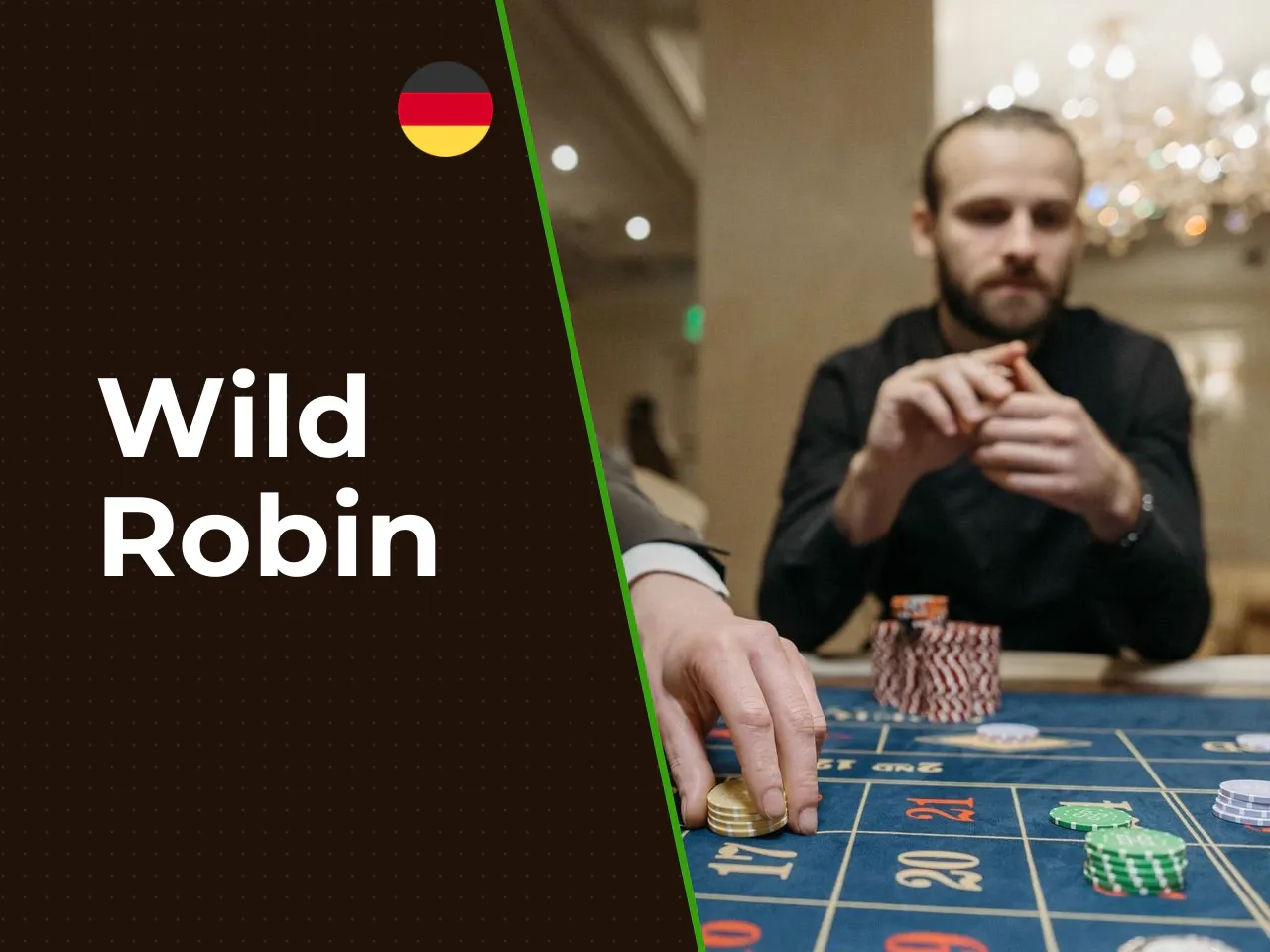 Wild Robin heading-banner