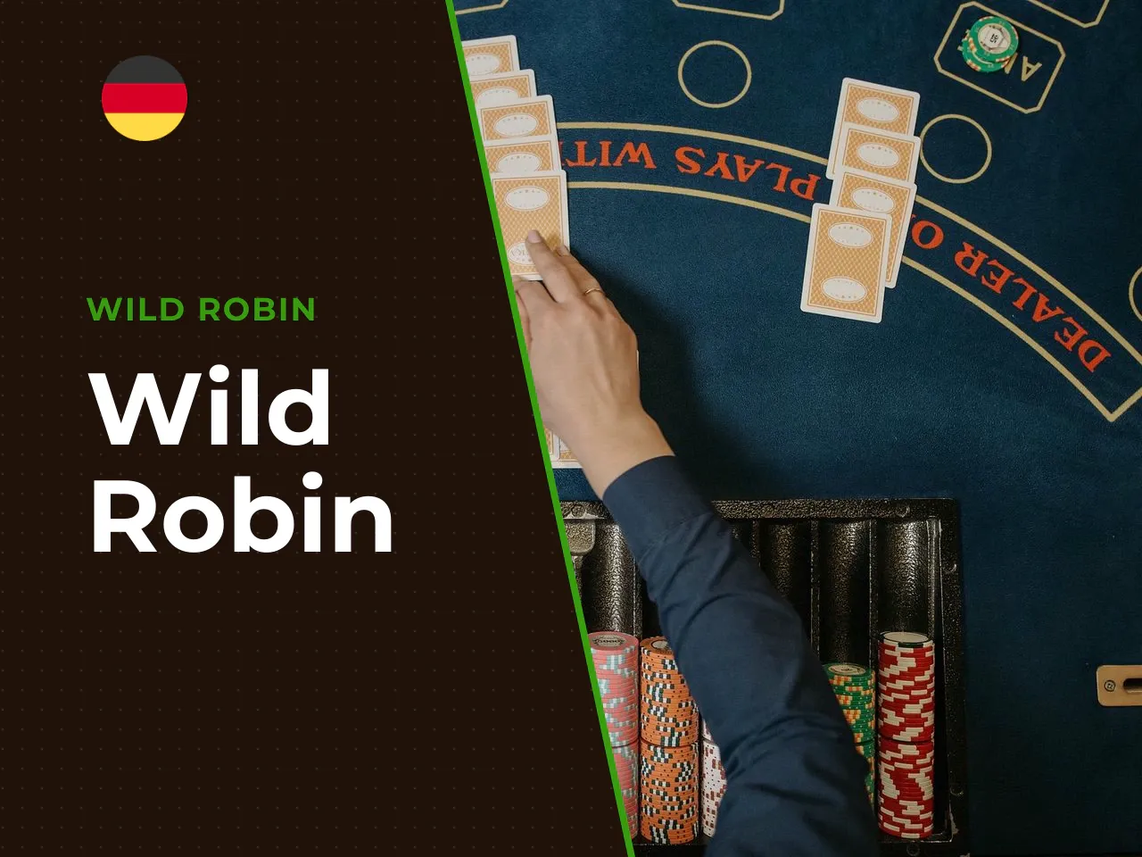 Wild Robin heading-banner