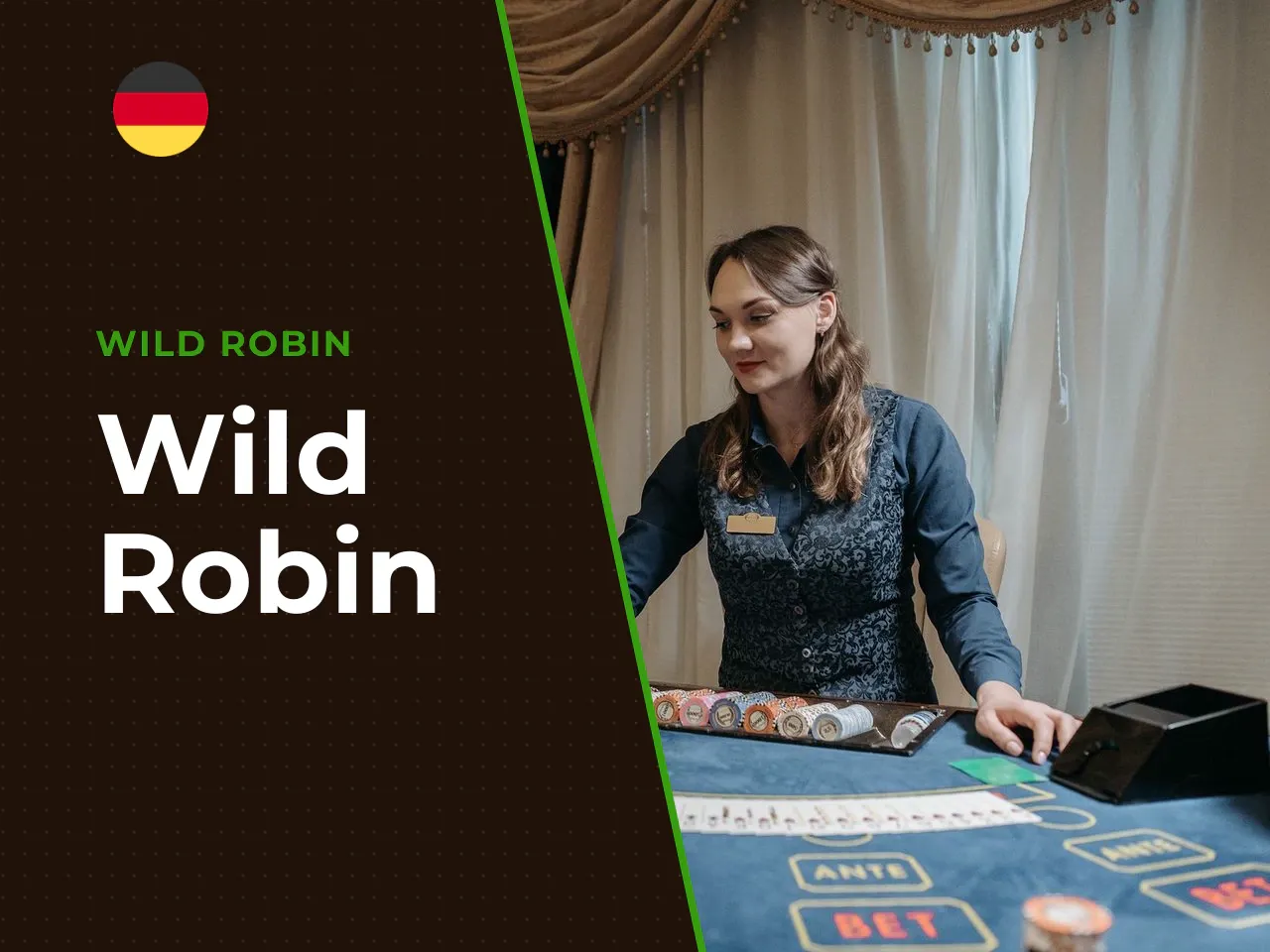 Wild Robin heading-banner