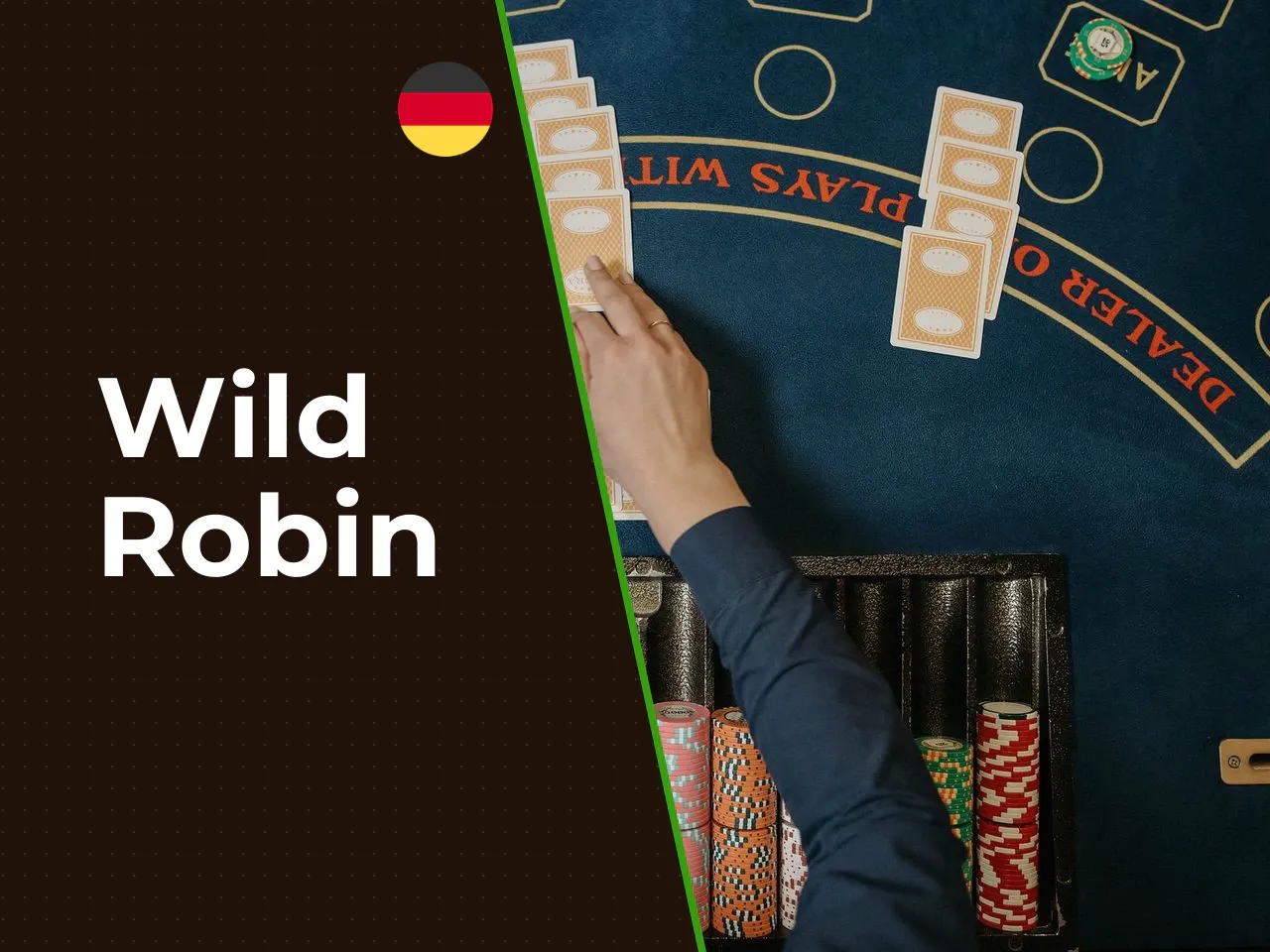 Wild Robin heading-banner