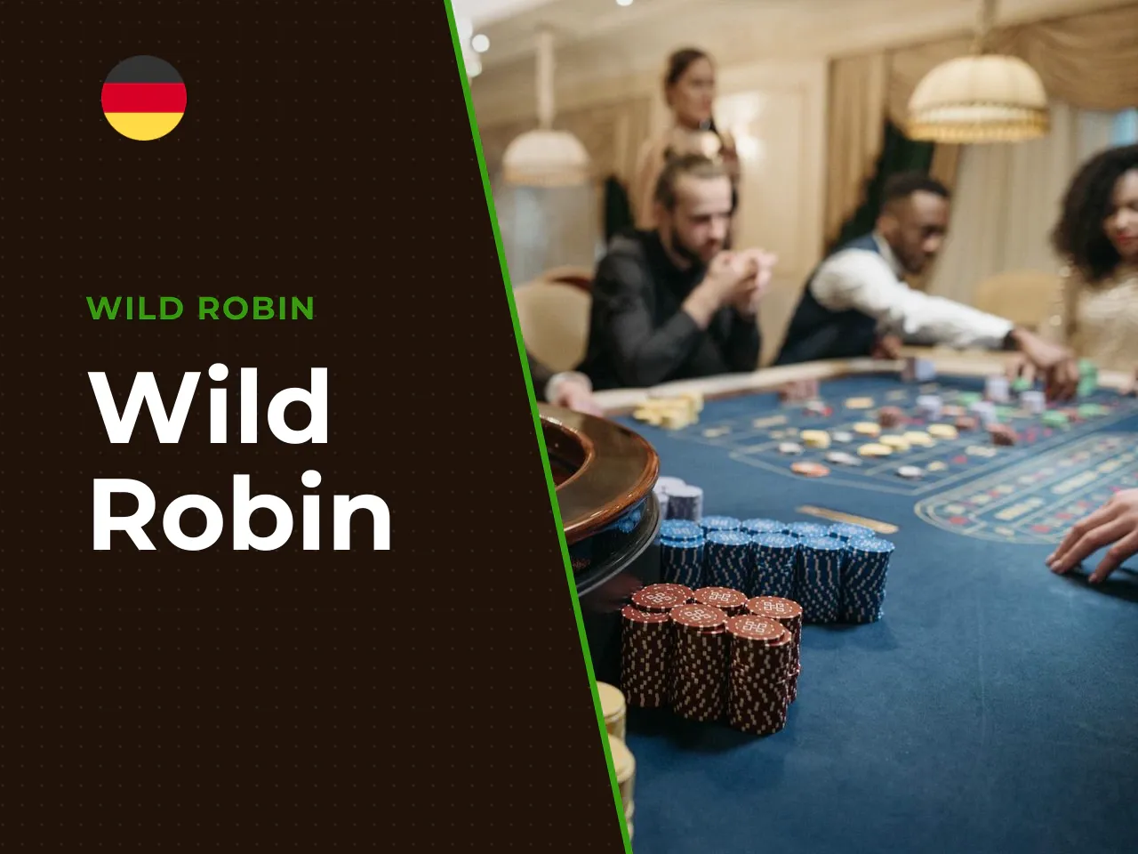 Wild Robin heading-banner
