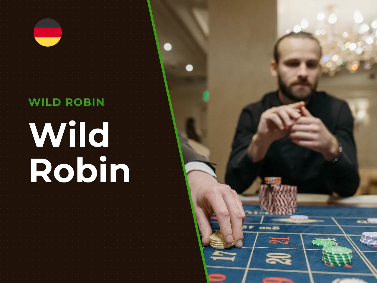 Wild Robin heading-banner