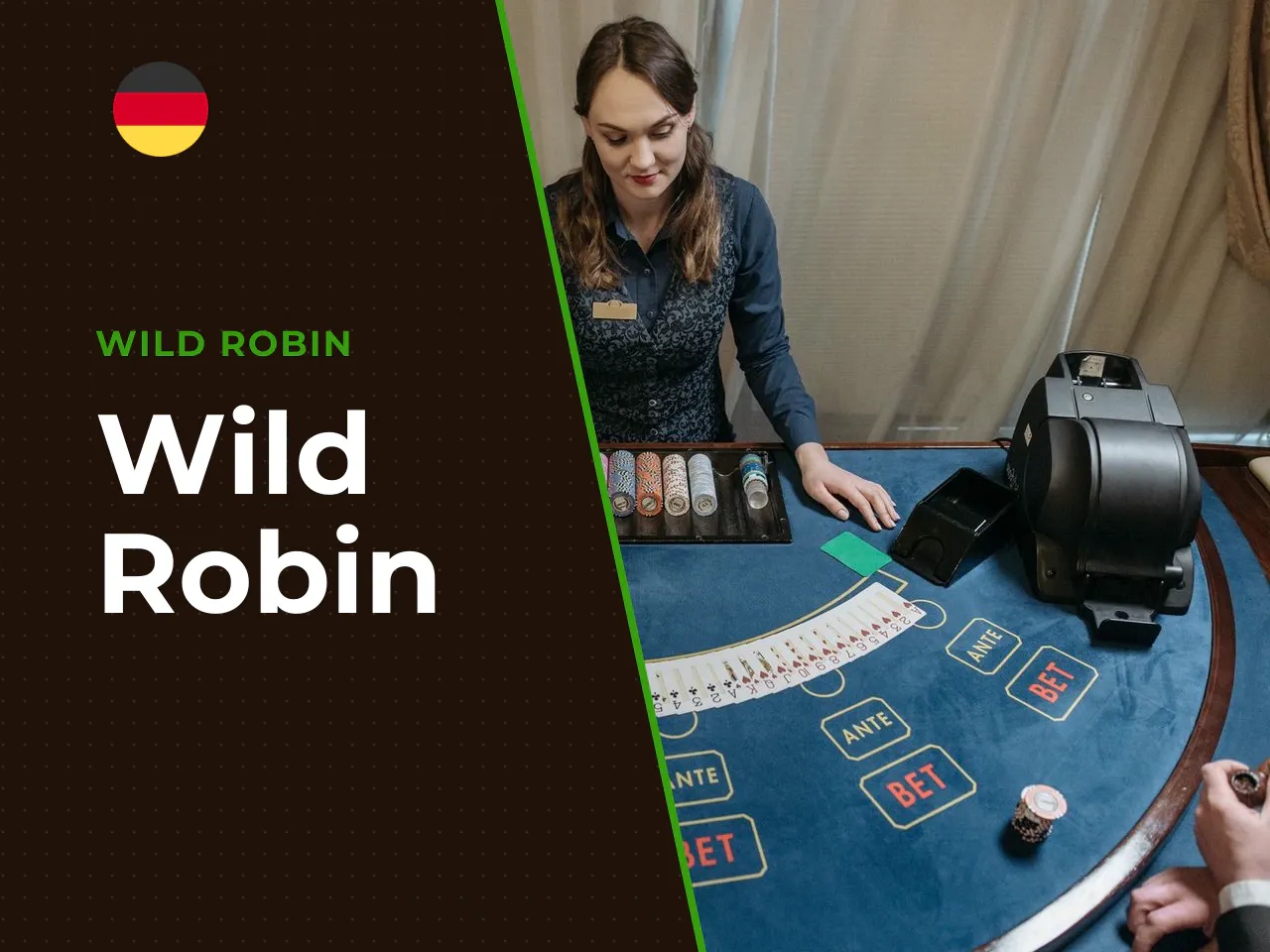 Wild Robin heading-banner
