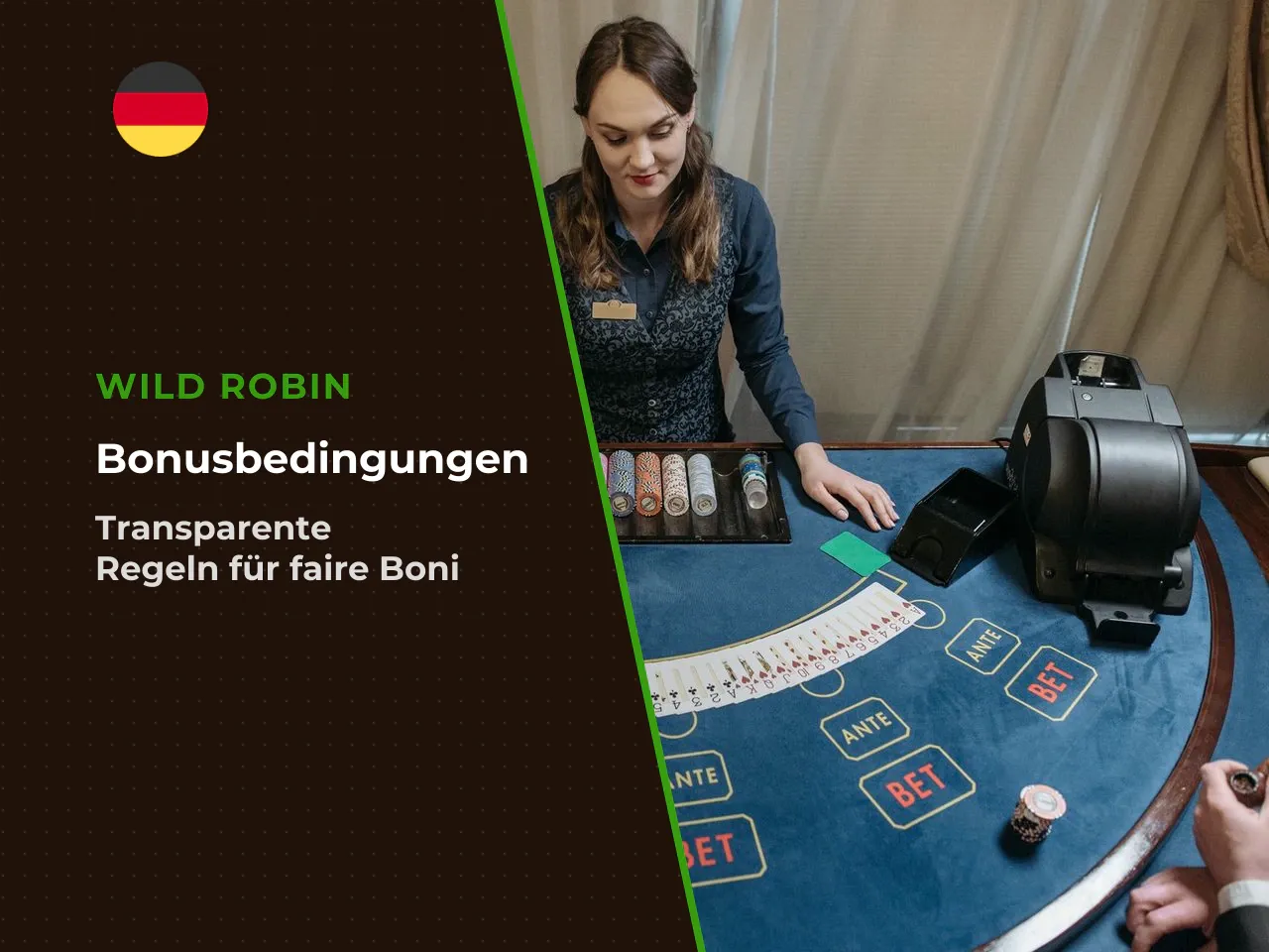 Bonusbedingungen bei Wild Robin Umsatz, Spiele