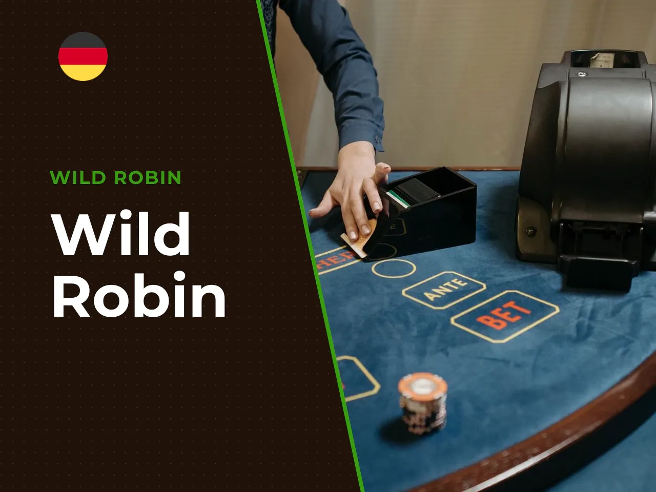 Wild Robin heading-banner